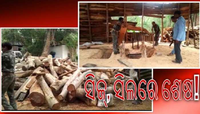 ଅବାଧରେ ଚାଲିଛି ବେଆଇନ କରତକଳ, ନିରବଦ୍ରଷ୍ଟା ବନବିଭାଗ ଅବାଧରେ ଚାଲିଛି ବେଆଇନ କରତକଳ, ନିରବଦ୍ରଷ୍ଟା ବନବିଭାଗ