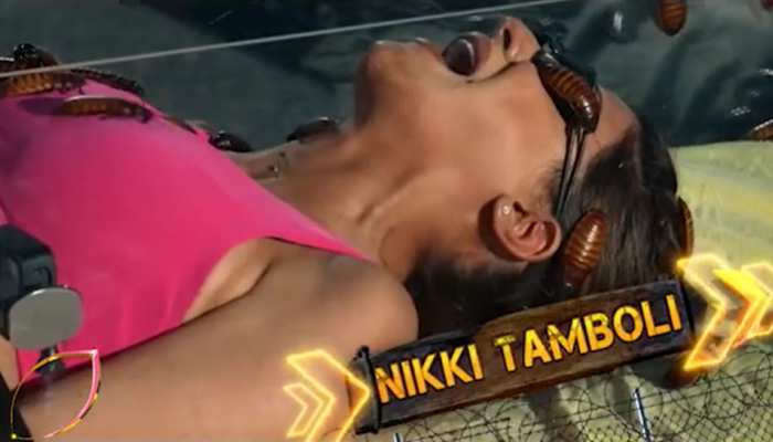Khatron Ke Khiladi 11: सांप-बिच्छुओं के बीच चीख-चीखकर Nikki Tamboli का हुआ बुरा हाल, रोहित शेट्टी ने रख दिया ये नाम Khatron Ke Khiladi 11: सांप-बिच्छुओं के बीच चीख-चीखकर Nikki Tamboli का हुआ बुरा हाल, रोहित शेट्टी ने रख दिया ये नाम