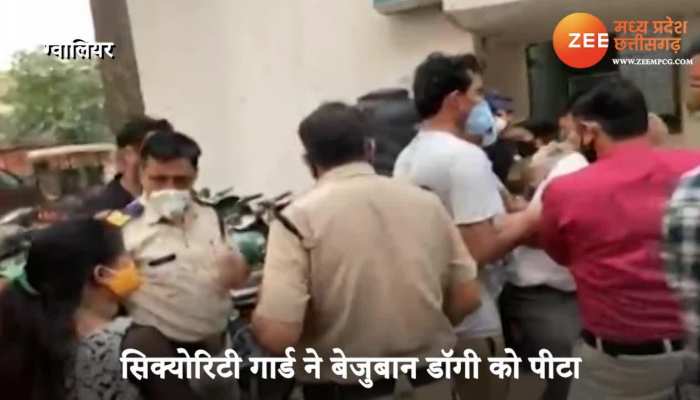 Dog Killed by Security Guard in Gwalior Dog Lovers Beaten him Video mpas