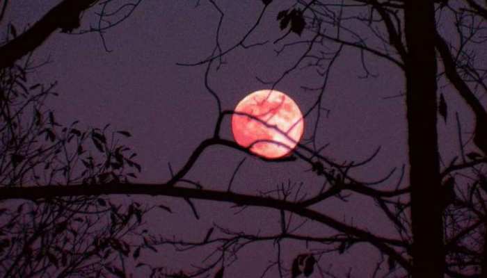 कल आसमान में दिखेगा रेड मून का नजारा, जानें इस अनोखी खगोलीय घटना के बारे में