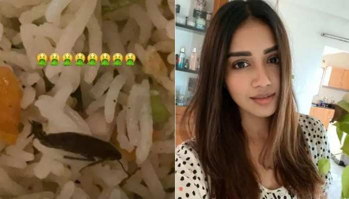 एक्ट्रेस Nivetha Pethuraj के खाने में निकले दो कॉक्रोच, खफा होकर खूब लगाई क्लास एक्ट्रेस Nivetha Pethuraj के खाने में निकले दो कॉक्रोच, खफा होकर खूब लगाई क्लास