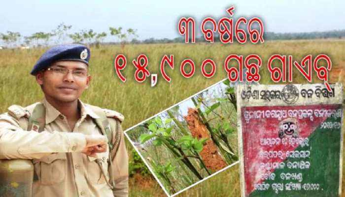ଶ୍ରୀହୀନ ଶ୍ରୀଜୀଉଙ୍କ ବନପ୍ରକଳ୍ପ; ସନ୍ଦେହରେ ବନପାଳଙ୍କ କାର୍ଯ୍ୟଶୈଳୀ ଶ୍ରୀହୀନ ଶ୍ରୀଜୀଉଙ୍କ ବନପ୍ରକଳ୍ପ; ସନ୍ଦେହରେ ବନପାଳଙ୍କ କାର୍ଯ୍ୟଶୈଳୀ