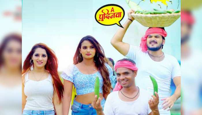 Arvind Akela Kallu का गाना 'लेला नेनुआ' हुआ वायरल, 24 घंटे में मिले 5 मिलियन व्यूज Arvind Akela Kallu का गाना 'लेला नेनुआ' हुआ वायरल, 24 घंटे में मिले 5 मिलियन व्यूज