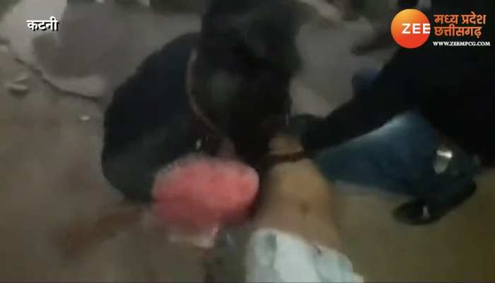 Family clashed on road over domestic land father in law beating daughter in law watch video mpsn