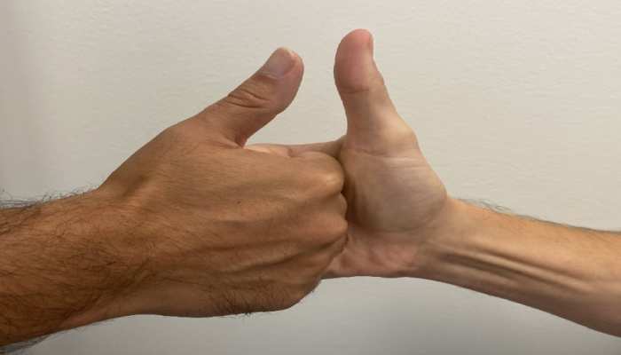 thumb lines palmistry