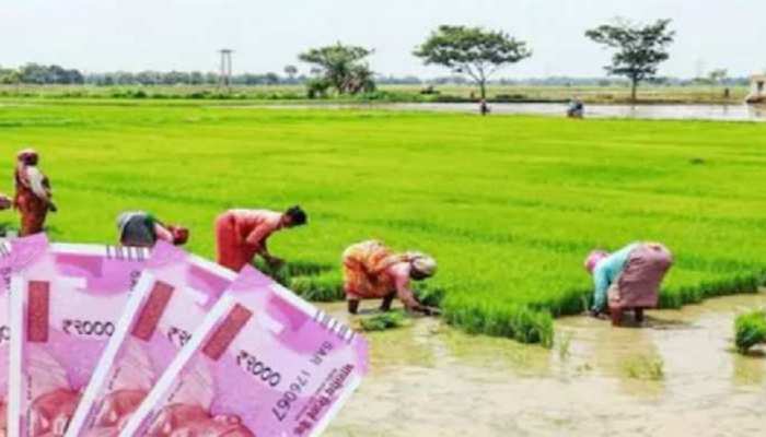 PM Kisan: बिहार-झारखंड के किसानों को अब 6000 की जगह हर साल मिलेंगे 36000 रुपये, जल्द करें ये काम PM Kisan: बिहार-झारखंड के किसानों को अब 6000 की जगह हर साल मिलेंगे 36000 रुपये, जल्द करें ये काम