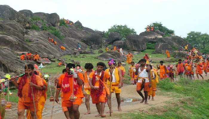 kanwariya की ताज़ा खबरे हिन्दी में | ब्रेकिंग और लेटेस्ट न्यूज़ in Hindi -  Zee News Hindi