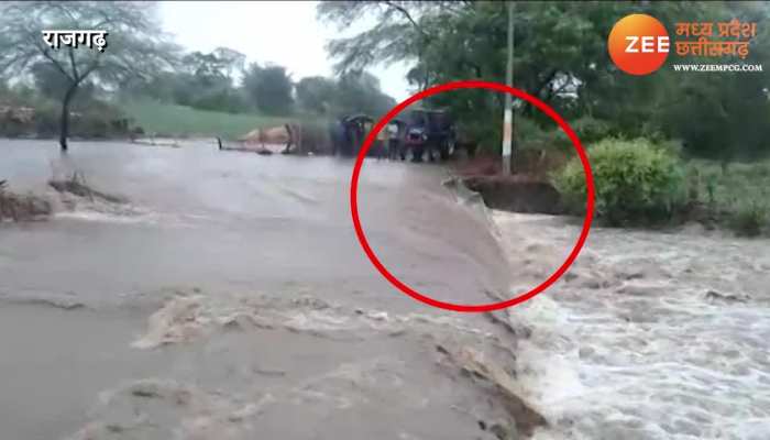 cow crossing bridge painful incident captured gaye pani me bahi video mpsn