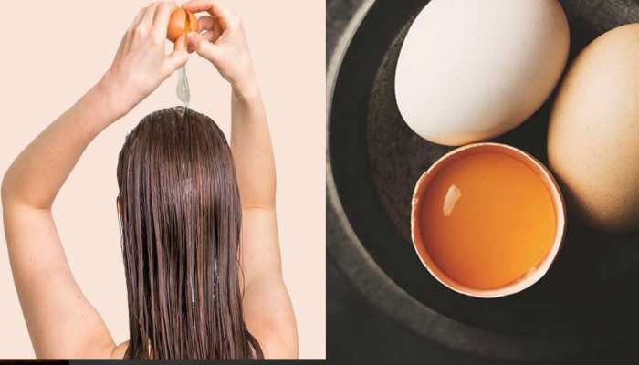 Egg hair mask is very beneficial for hair balo par kese lagaye anda Get rid of hair problem with eggs brmp | 2 अंडे से बालों को मिलेगा नया जीवन, hair हो Egg hair mask is very beneficial for hair balo par kese lagaye anda Get rid of hair problem with eggs brmp | 2 अंडे से बालों को मिलेगा नया जीवन, hair हो