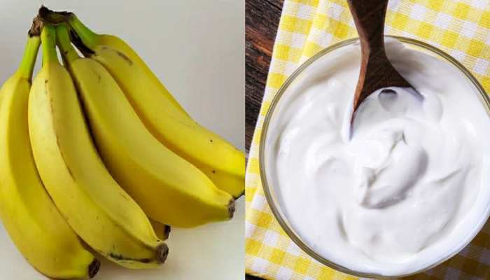 eat curd banana in breakfast then you get amazing benefit know here  Benefits of curd and banana brmp | Benefits of banana curd: इस वक्त खा  लीजिए दही-केला, शरीर को मिलेंगे जरबदस्त