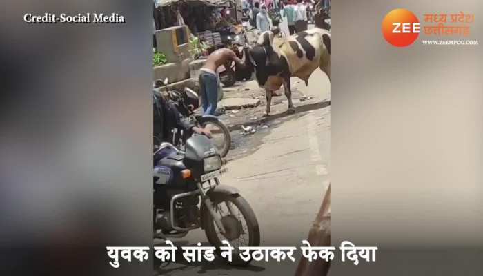 bull and young man fight bahubali movie real bhallaldev scene mpap