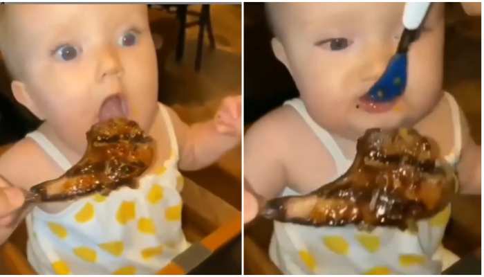 funny video of a child eating food reaction video | Funny Video: चिकन  दिखाकर बच्चे को खिलाया दलिया, देखिए मजेदार Reaction Video | Hindi News, जरा  हटके