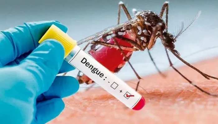 dengue की ताज़ा खबरे हिन्दी में | ब्रेकिंग और लेटेस्ट न्यूज़ in Hindi - Zee  News Hindi