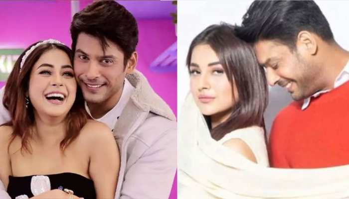 Sidharth Shukla broke the pair of SidNaaz, the lovely couple won millions  of hearts | Sidharth Shukla ने तोड़ दी SidNaaz की जोड़ी, प्यारे कपल ने जीते  थे लाखों दिल | Hindi