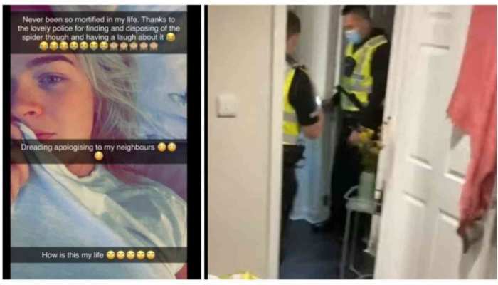 viral news funny video of woman screaming seeing spider phobia in room  police verification viral video | Funny Video: मकड़ी के डर से महिला ने  मचाया बवाल, पुलिस के आने पर पता
