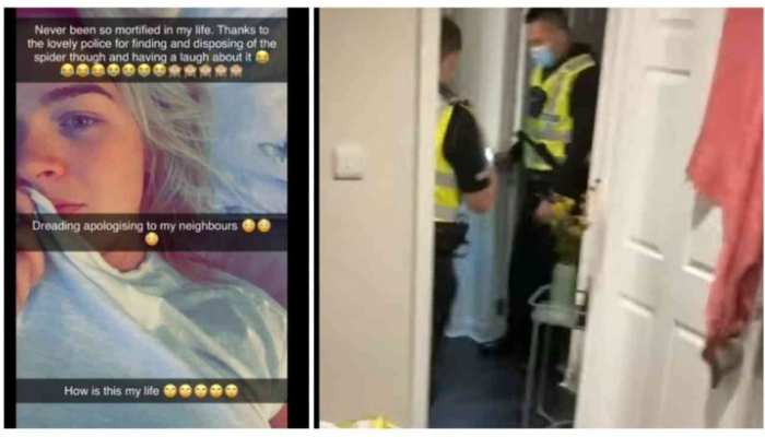 viral news funny video of woman screaming seeing spider phobia in room police verification viral video | Funny Video: मकड़ी के डर से महिला ने मचाया बवाल, पुलिस के आने पर पता viral news funny video of woman screaming seeing spider phobia in room police verification viral video | Funny Video: मकड़ी के डर से महिला ने मचाया बवाल, पुलिस के आने पर पता