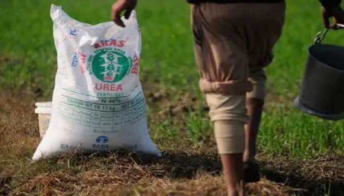 Farmers upset due to shortage of urea in Bihar | बिहार में यूरिया की किल्लत  से परेशान किसान, तेजस्वी बोले-सो रही है डबल इंजन की सरकार? | Hindi News,  पटना