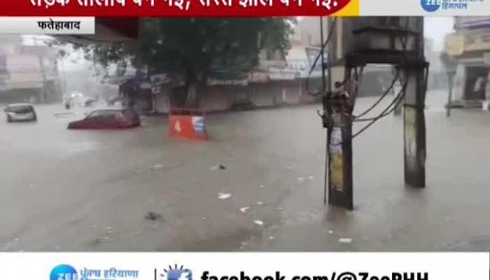 Roads submerged due to rain, monkeys are crossing the road with the help of electric wires