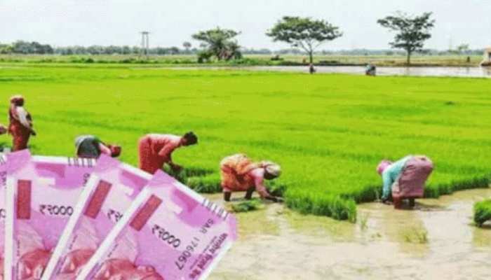 Good news for farmers now instead of 6000 Rs 36000 will come by PM kisan man dhan yojna | PM Kisan: किसानों के लिए खुशखबरी, अब 6000 की जगह आएंगे 36000 रुपये;
