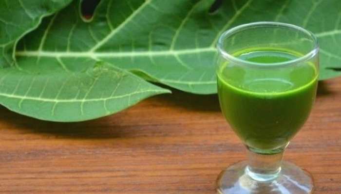 These diseases stay away from the consumption of papaya leaf juice, know its special benefits