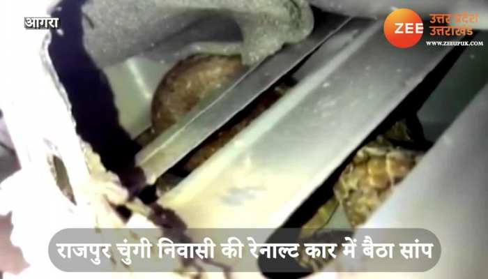 snake traveling in car video goes viral on Social media SPUP