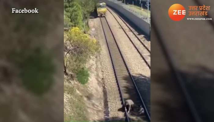 Man Saves Dog Tied To Train Tracks before train rammed over watch this viral video
