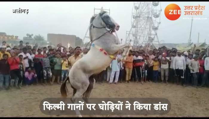 Horses seen dancing on film songs in aligarh video gone viral on social media smup