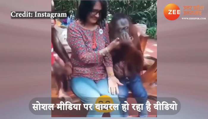 two chimpanzees started kissing a woman video gone viral on social media uppm