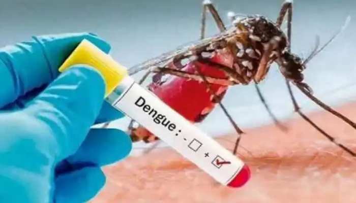 Dengue Fever: मिल गई हड्डीतोड़ बुखार डेंगू की दवा, देश की इन 20 जगहों पर होगा ट्रायल Dengue Fever: मिल गई हड्डीतोड़ बुखार डेंगू की दवा, देश की इन 20 जगहों पर होगा ट्रायल