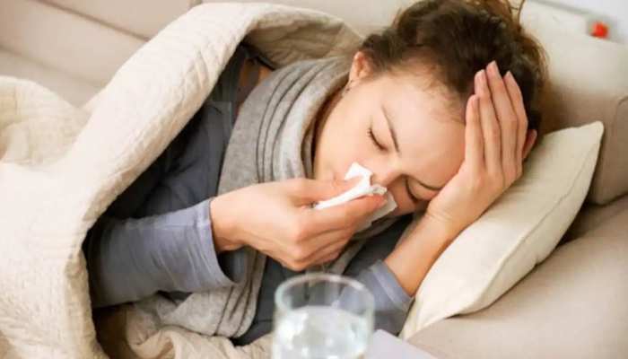 Viral Fever: मौसम में अचानक आया बदलाव कर सकता है बीमार, भूलकर भी न करें ये गलतियां Viral Fever: मौसम में अचानक आया बदलाव कर सकता है बीमार, भूलकर भी न करें ये गलतियां