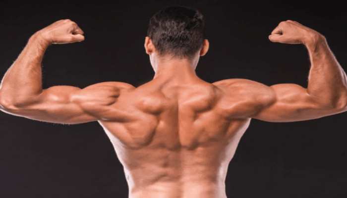 Back workout at home in hindi sale