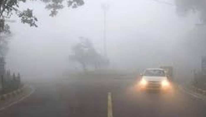 rain in MP की ताज़ा खबरे हिन्दी में | ब्रेकिंग और लेटेस्ट न्यूज़ in Hindi - Zee News Hindi