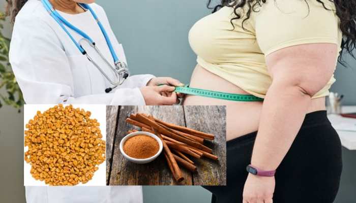 New year 2022 Weight loss weight lose with fenugreek Weight loss food kitchen food for weight loss brmp | New year 2022 Weight loss: किचन में रखी ये 6 चीजें मोटापे से