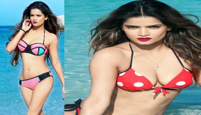 UP Election 2022: Congress gave ticket to bikini girl from Hastinapur Hindu organizations raged