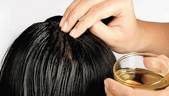 Hair Spa Oil Therapy  hair oil to prevent hair fall  provide deep co   Prakrta