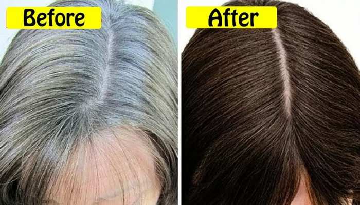 dark black hair tips know home remedies for white hair problem and black tea benefits samp | Dark Black Hair: सफेद बालों को गहरा काला बना देती है रसोई में रखी ये dark black hair tips know home remedies for white hair problem and black tea benefits samp | Dark Black Hair: सफेद बालों को गहरा काला बना देती है रसोई में रखी ये