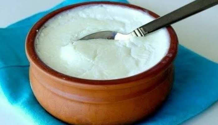 Benefits of curd health benefits of eating curd janiye dahi khane ke fayde or labh in hindi brmp | इस वक्त खाना शुरू करें सिर्फ 1 कटोरी दही, दूर रहेंगी कई बीमारियां,