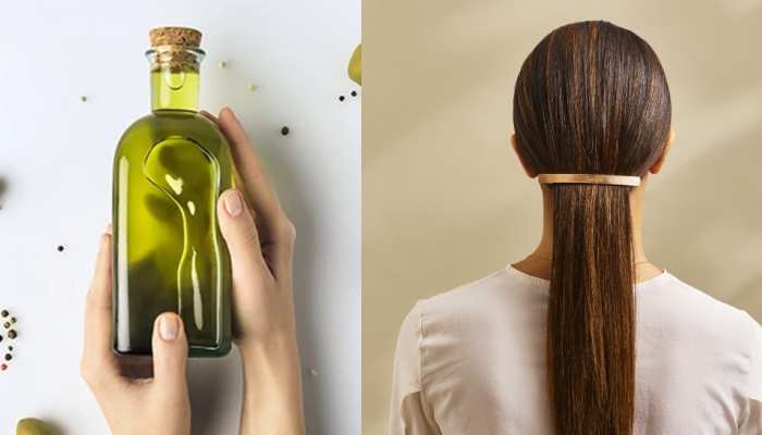 benefits of olive oil for hair hair care healthy hair how to strengthen hair how to make hair shiny brmp | Healthy hair: हफ्ते में 2 से 3 दिन बालों में लगाएं benefits of olive oil for hair hair care healthy hair how to strengthen hair how to make hair shiny brmp | Healthy hair: हफ्ते में 2 से 3 दिन बालों में लगाएं