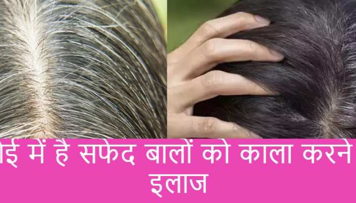 Use this one ingredient from your kitchen for dye your white hair | आपकी  रसोई में है सफेद बालों को काला करने का इलाज, इस्तेमाल करना भी आसान | Hindi  News, लाइफस्टाइल