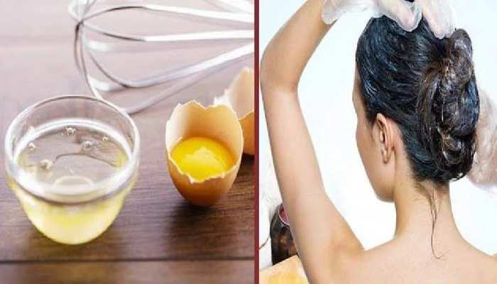 egg benefits for hair 1 egg can give new life to hair hair will become  black long hair care tips BRMP | 1 अंडा बालों को दे सकता है नया जीवन, हेयर