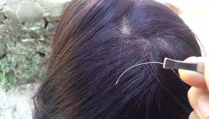Hair Care Tips: Dont cut white hair plucking problems solution natural ways for making it black oil based colour mehndi | White Hair Problems: जब पहली बार सिर पर दिखे सफेद बाल, Hair Care Tips: Dont cut white hair plucking problems solution natural ways for making it black oil based colour mehndi | White Hair Problems: जब पहली बार सिर पर दिखे सफेद बाल,