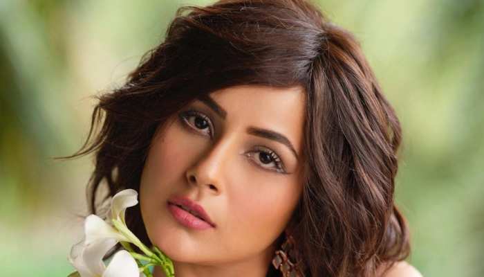 Shehnaaz kaur gill latest magazine photoshoot by face wear crop top open  jacket button | | काउच पर बैठकर पहले से ज्यादा ग्लैमरस हुईं शहनाज गिल,  दिखाईं ऐसी अदाएं फैंस रह गए