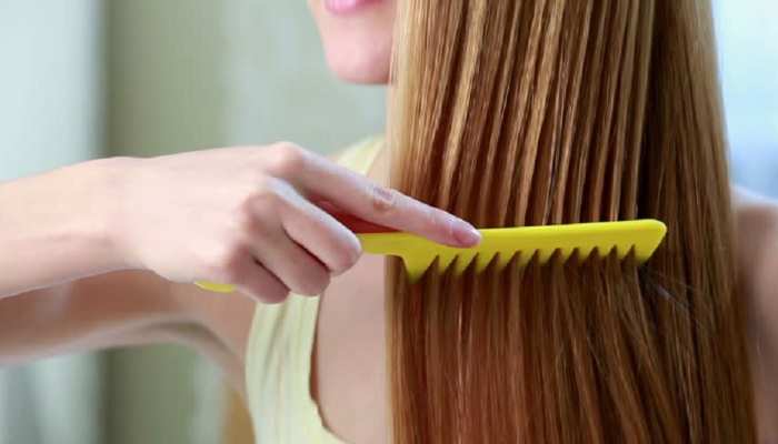 benefits of combing hair 2 times in day right way to comb hair and hair combing tips or hair care tips samp | Hair Combing tips: दिन में 2 बार जरूर करनी benefits of combing hair 2 times in day right way to comb hair and hair combing tips or hair care tips samp | Hair Combing tips: दिन में 2 बार जरूर करनी
