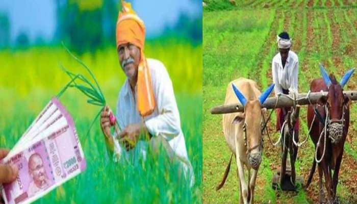 PM Kisan Samman Nidhi Yojana 11th installment ssh | PM Kisan Yojana: किसानों के लिए जरूरी खबर, इस दिन खाते में आएगी 11वीं किस्त! | Hindi News, ZeePHH Trending News