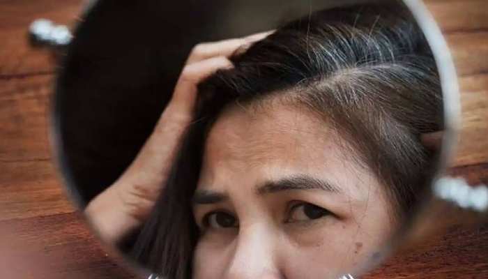 White Hair Problem Home Cure Indigo Heena Amla Powder Curry Leaves Coconut Oil Black Tea Lemon| White Hair Problem: घर में ऐसे करें सफेद बालों का इलाज, जल्द पाएं डार्क हेयर | White Hair Problem Home Cure Indigo Heena Amla Powder Curry Leaves Coconut Oil Black Tea Lemon| White Hair Problem: घर में ऐसे करें सफेद बालों का इलाज, जल्द पाएं डार्क हेयर |