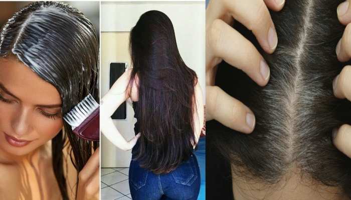 Hair growth Tips Your hair will grow with double fast speed just follow these important tips brmp | Hair growth Tips: दोगुनी तेजी से बढ़ेंगे आपके बाल, बस फॉलो करें ये जरूरी Hair growth Tips Your hair will grow with double fast speed just follow these important tips brmp | Hair growth Tips: दोगुनी तेजी से बढ़ेंगे आपके बाल, बस फॉलो करें ये जरूरी