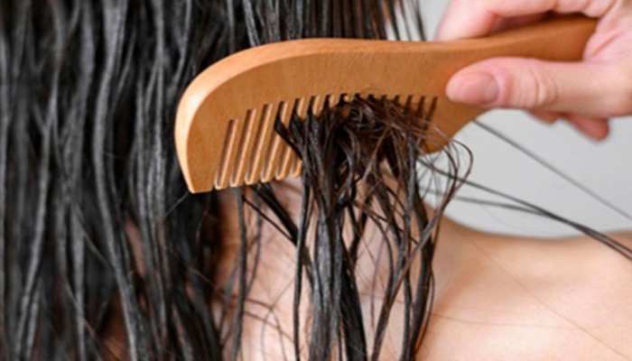 Hair Care Mistakes for Cause Hair Fall never combs with wet hair | Hair  Care Mistakes: क्या कंघी करते ही आपके भी झड़ते हैं बाल? ये कारण हैं  जिम्मेदार | Hindi News, लाइफस्टाइल