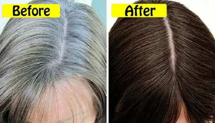 Blacken Hair TIPS Use these 3 things to make hair black natural hair  products White hair treatment brmp | Blacken Hair TIPS: सफेद बालों से  परेशान हैं तो लगाएं ये 3 चीजें,