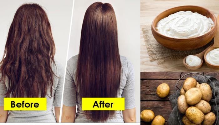 Healthy Hair TIPS Curd Potato Hair Mask how to increase hair growth brmp | Healthy Hair TIPS: बालों को खूबसूरत और मजबूत बना देगा आलू-दही, बस ऐसे करें इस्तेमाल, हेयर हो जाएंगे Healthy Hair TIPS Curd Potato Hair Mask how to increase hair growth brmp | Healthy Hair TIPS: बालों को खूबसूरत और मजबूत बना देगा आलू-दही, बस ऐसे करें इस्तेमाल, हेयर हो जाएंगे