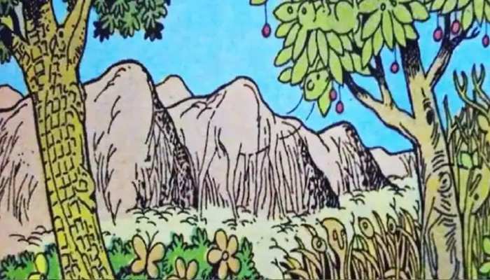 Optical Illusion: task social media viral photo 6 animals hidden picture find it if you can atdnh | Optical Illusion: तस्वीर में छिपे हैं 6 जानवर, 20 सेकंड में ढूंढ सको तो Optical Illusion: task social media viral photo 6 animals hidden picture find it if you can atdnh | Optical Illusion: तस्वीर में छिपे हैं 6 जानवर, 20 सेकंड में ढूंढ सको तो